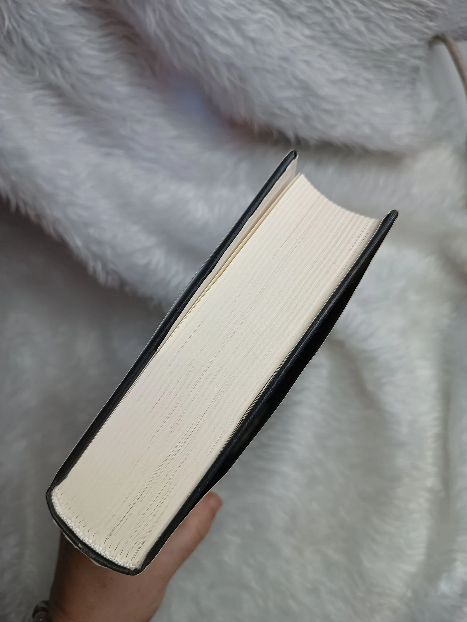Boek De As van de Hemel – photo 4